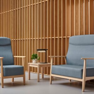 Butaca Boreal de Seniorcare